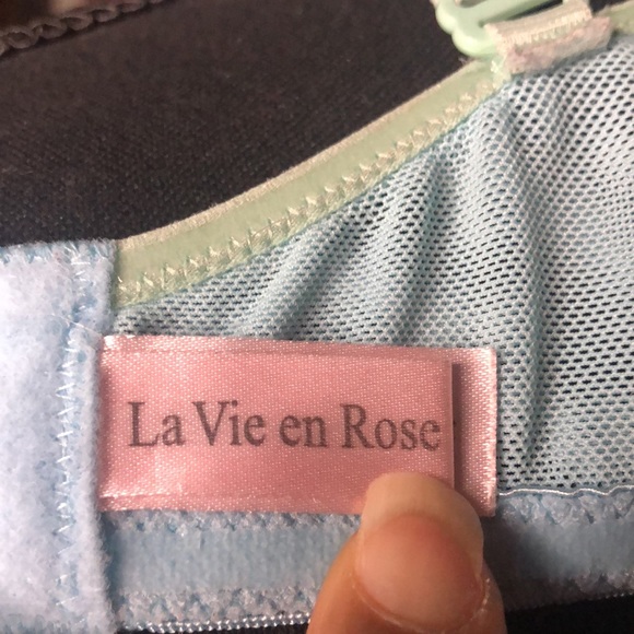 LA VIE EN ROSE light blue and green bra. Size 34 C. - Picture 3 of 12